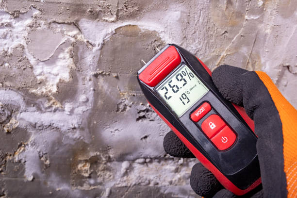 Mold Removal Process in Long Beach, MS