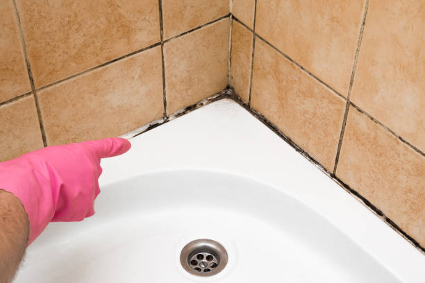 Best Office Mold Removal Services  in Long Beach, MS